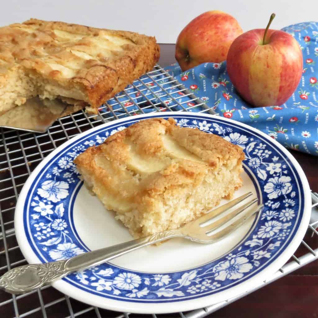 Apple Cake; gluten free and dairy free